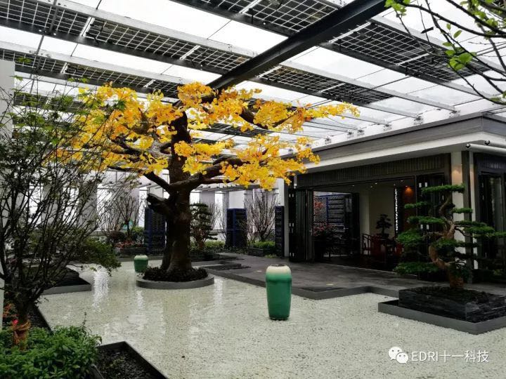 1514967479958438.jpg 34.jpg