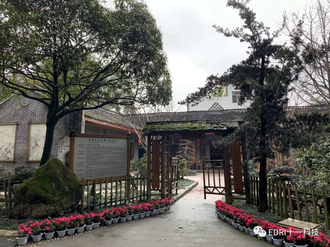 1552272576678032.jpg 2.jpg